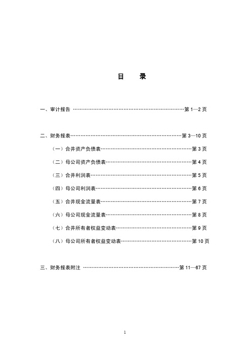 亚太股份：2009年年度审计报告 2010-04-07