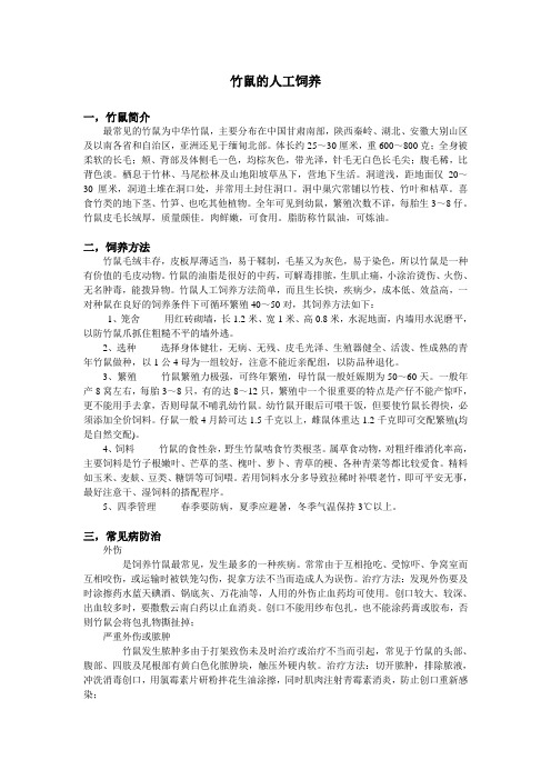 竹鼠人工饲养技术