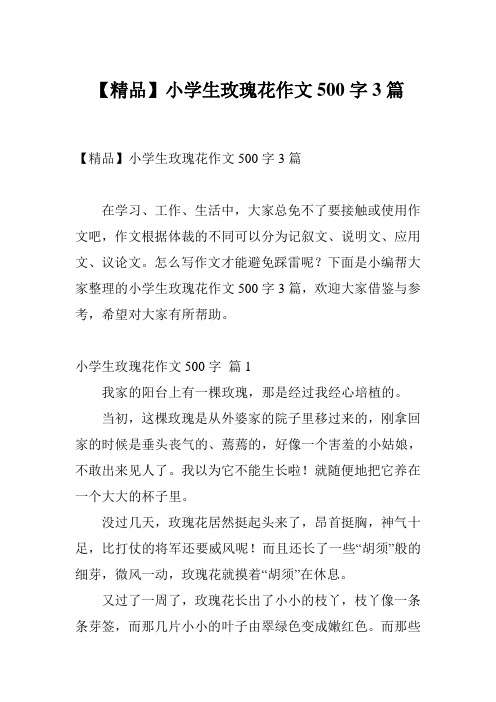 【精品】小学生玫瑰花作文500字3篇