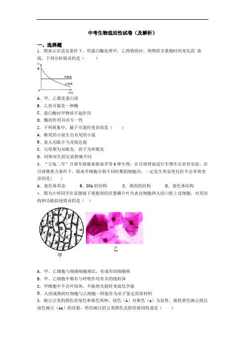 中考生物适应性试卷(及解析)