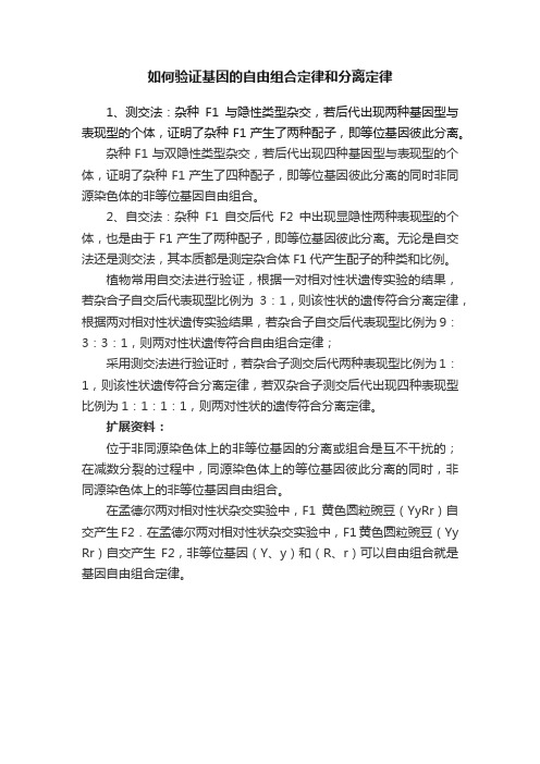 如何验证基因的自由组合定律和分离定律