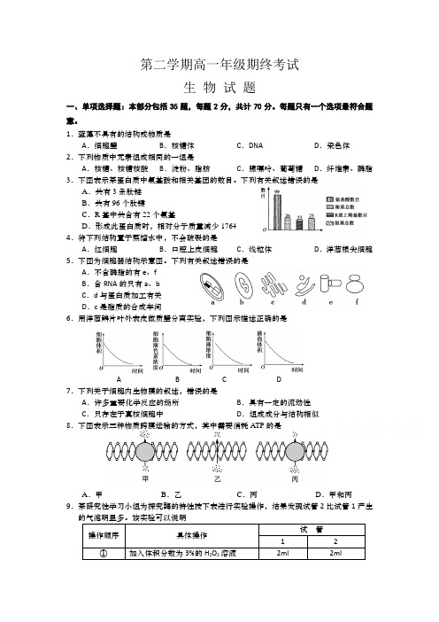 【最新】江苏省盐城市高一下册第二学期期末考试生物-含答案