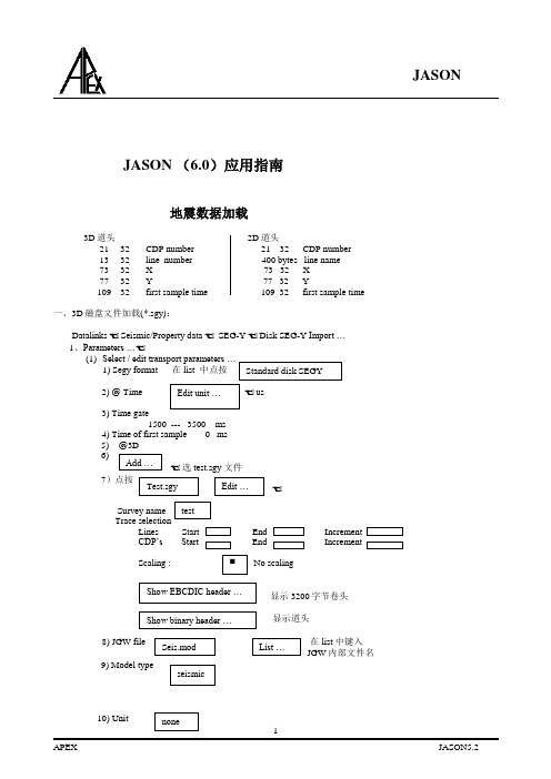 JASON (6.0)应用指南