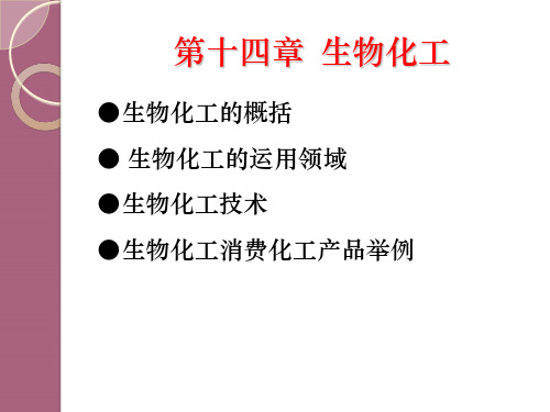 《生物化工》ppt课件