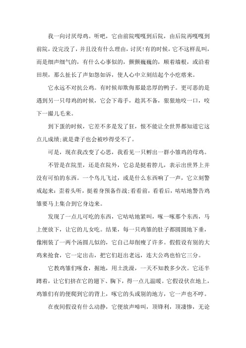 小学四年级语文上册《母鸡》课文原文精选