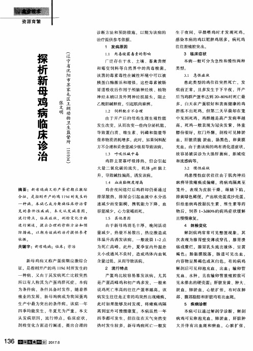 探析新母鸡病临床诊治