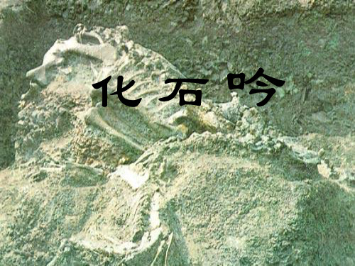 人教版初中初一七年级上册语文：化石吟_课件2