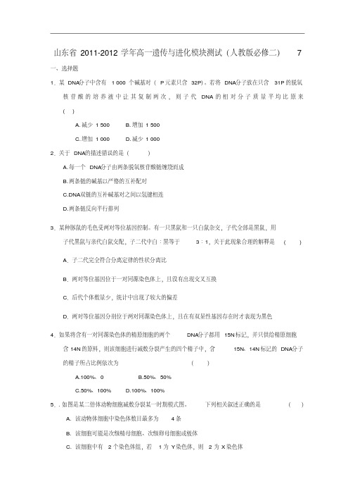 山东省2011-2012学年高中生物遗传与进化模块测试7新人教版必修2