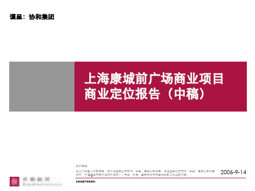 商业地产上海项目定位报告参考