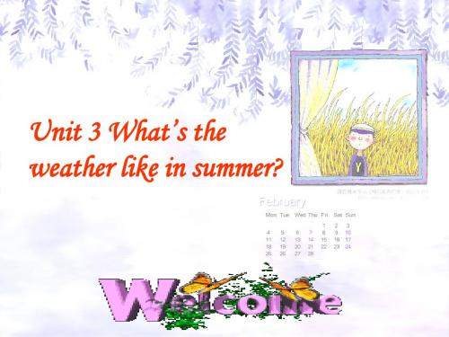 初一英语课件 Unit 3 What’s the weather like in summer