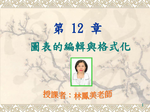 图表的编辑与格式化