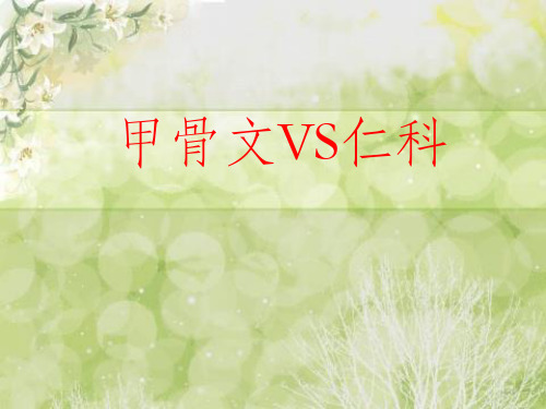 甲骨文VS仁科