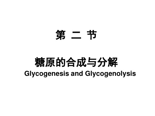 最新2019-第二节糖原的合成与分解-PPT课件