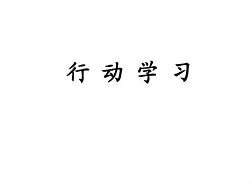 行动学习法