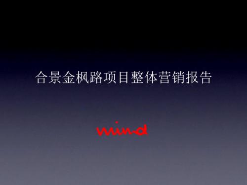 2010苏州金枫路项目整体营销报告216P(一)