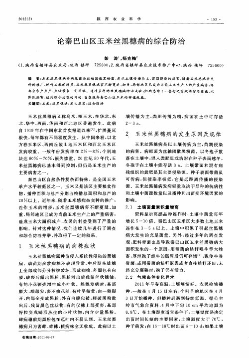 论秦巴山区玉米丝黑穗病的综合防治