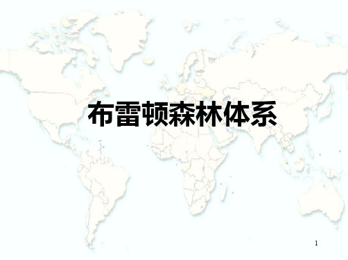 布雷顿森林体系介绍PPT课件
