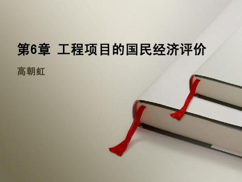 第6章 国民经济评价