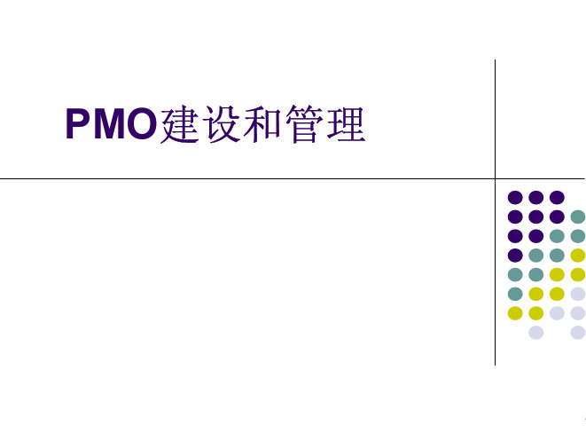 PMO建设和管理