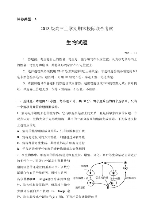 山东省日照市2018级高三上学期期末校际联合考试生物试题及答案