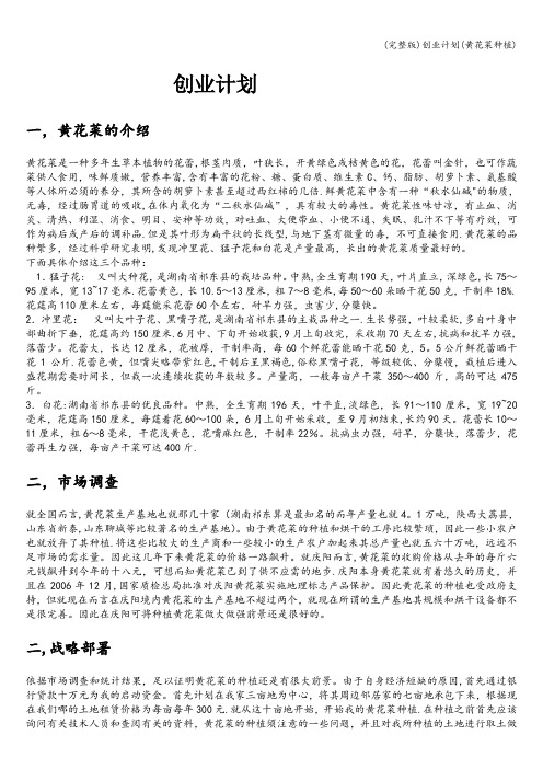 (完整版)创业计划(黄花菜种植)
