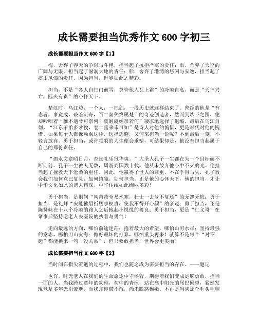 成长需要担当优秀作文600字初三