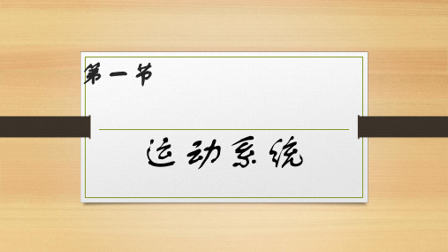 人体八大系统第一节 运动系统