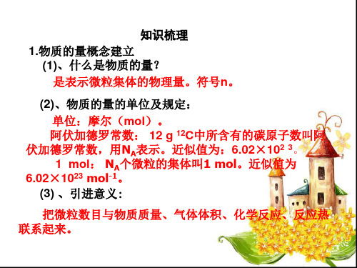高一化学物质的量精品PPT课件