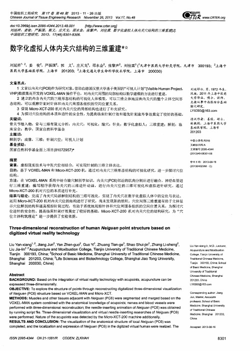 数字化虚拟人体内关穴结构的三维重建