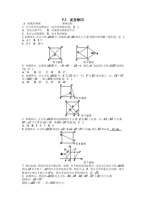 浙教版八年级数学下册《5.3正方形(2)》同步练习(含答案)