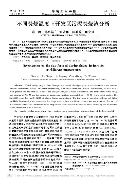 不同焚烧温度下开发区污泥焚烧渣分析