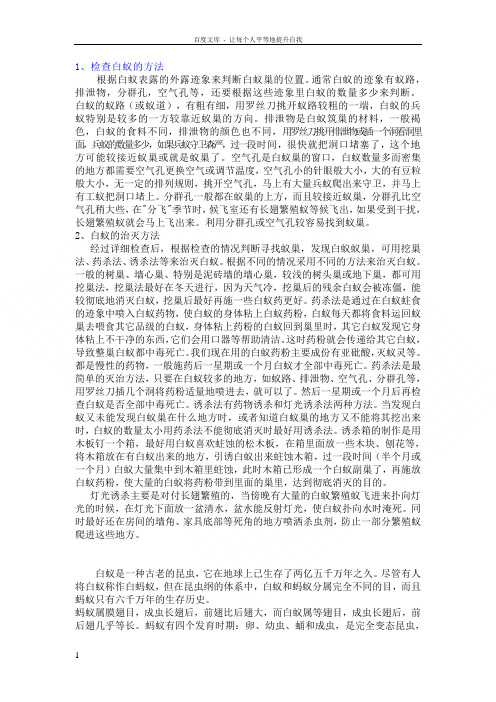 白蚁认识