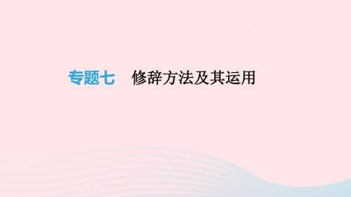 2019年中考语文总复习二积累与运用专题07修辞方法及其运用课件
