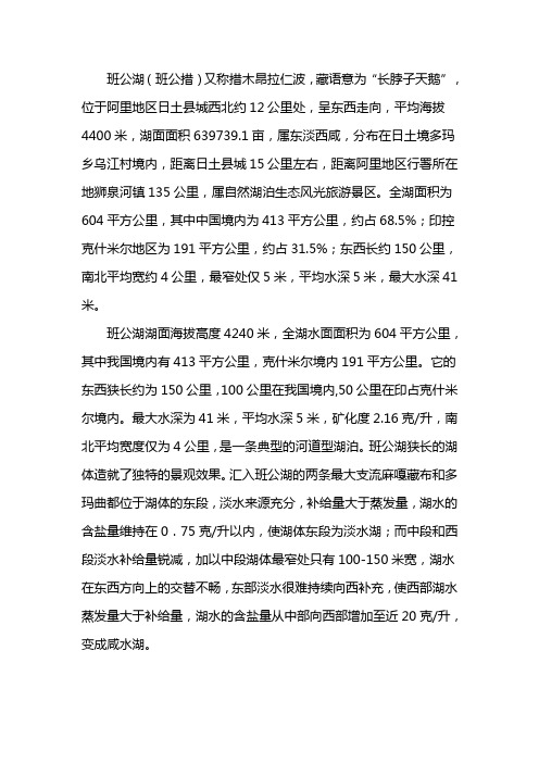 班公湖实际控制地图