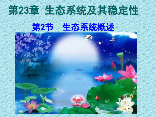 北师大版生物八年级下册7.23.2生态系统概述 课件 (共28张PPT)