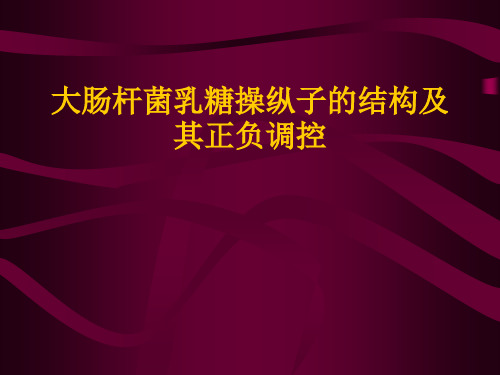 乳糖操纵子