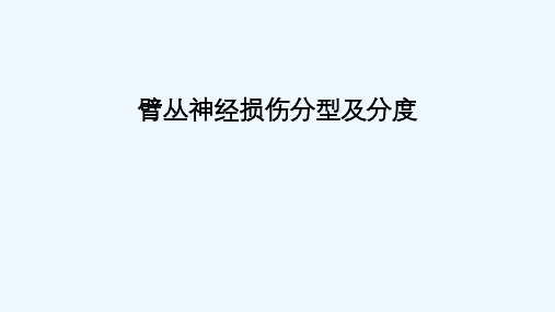 臂丛神经损伤分型课件
