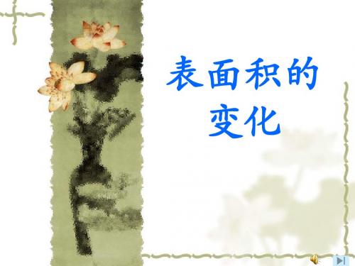 2019年表面积的变化10.19精品教育.ppt