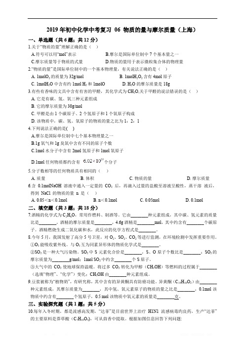2019年初中化学中考复习 06 物质的量与摩尔质量