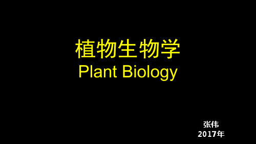 植物生物学课件 第四章 真菌