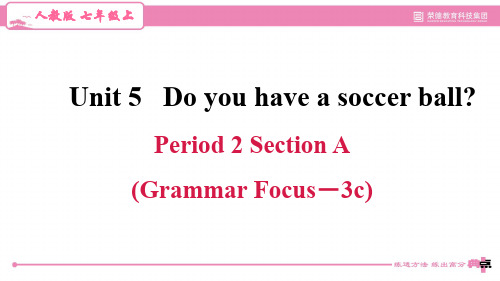 初中英语七年级上册典中点习题课件Unit 5Period 2 Section A (Grammar focus-3c)