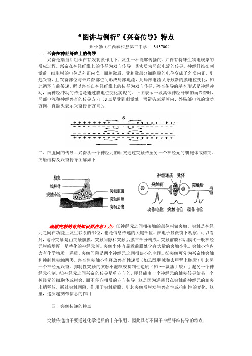 《兴奋传导》重点知识“精讲与例析”文档