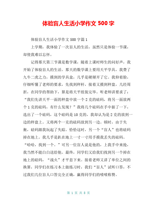 体验盲人生活小学作文500字