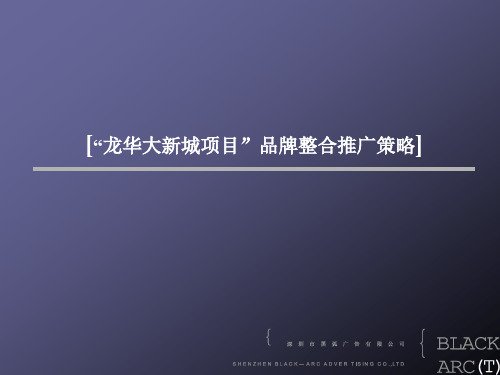 “龙华大新城项目”品牌整合推广策略[1]