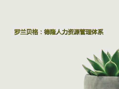 罗兰贝格：德隆人力资源管理体系共81页文档