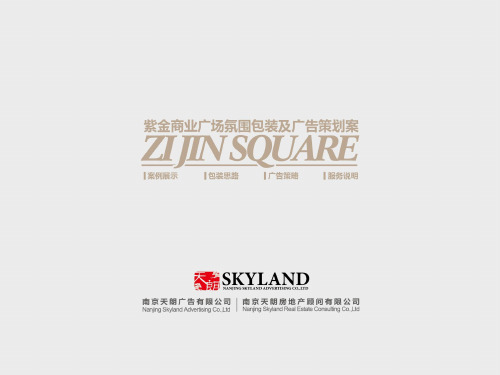 2012年南京紫金商业广场氛围包装策划案资料