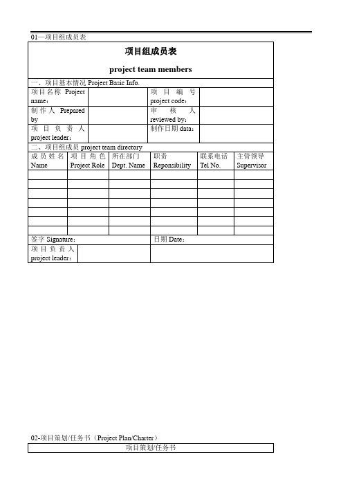 项目管理表格