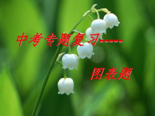1中考语文专题复习：图表漫画徽标.pp