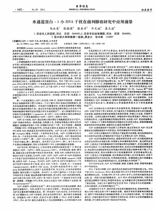 水通道蛋白-1小RNA干扰在前列腺癌研究中应用前景