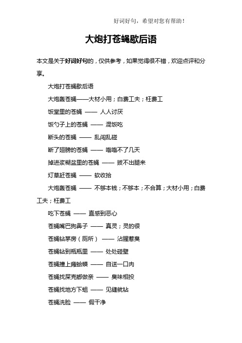 大炮打苍蝇歇后语